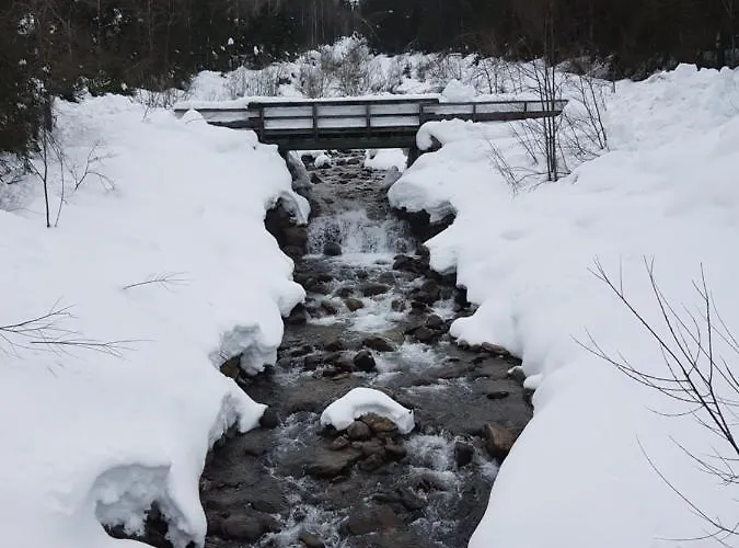 Tattoo Mit Restaurant Und Tattoo-studio
