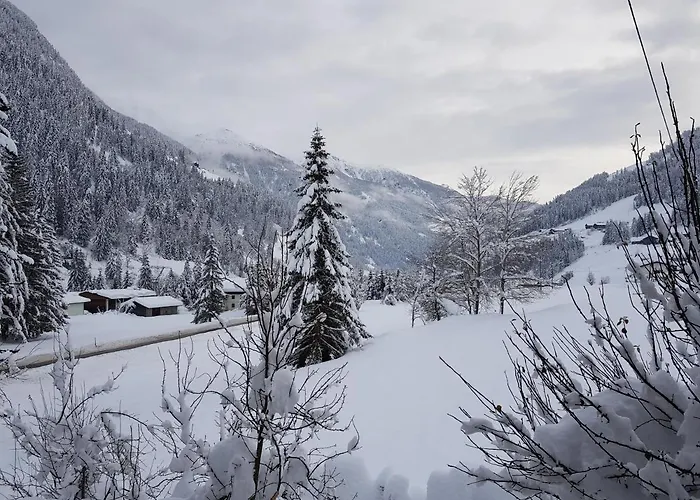 Maison d'hôtes Tattoo Mit Restaurant Und Tattoo-studio Mörtschach