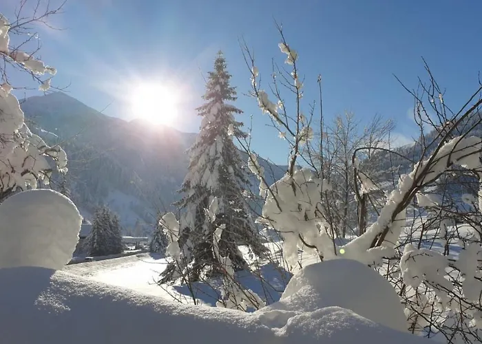 Tattoo Mit Restaurant Und Tattoo-studio